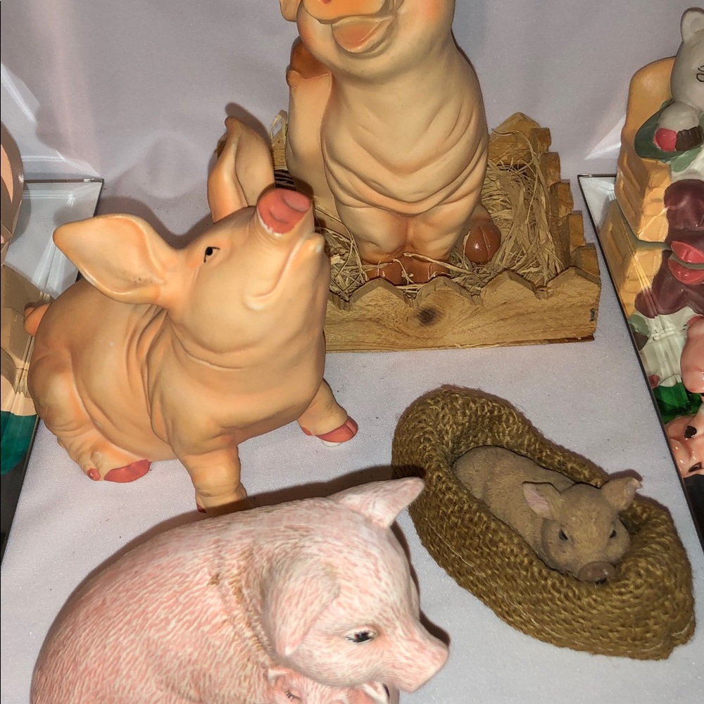Pig Collection - Picture 2 of 6